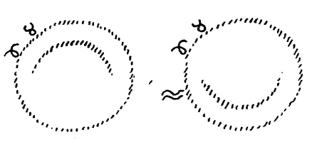 AltName