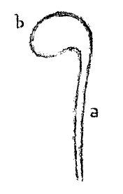 AltName