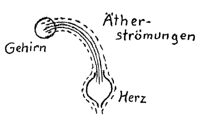 AltName