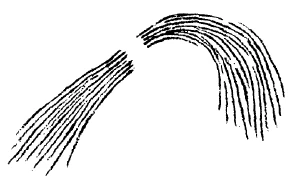 AltName