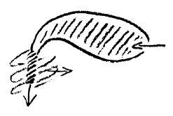 AltName