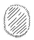 AltName