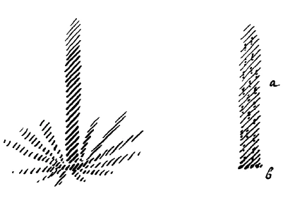 AltName