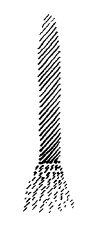 AltName