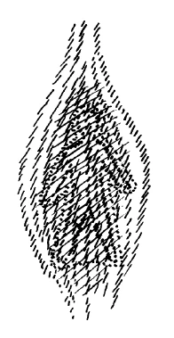 AltName
