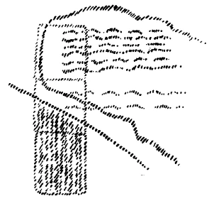 Man as a two-membered being