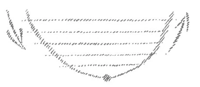 The Evolution of the Human Being